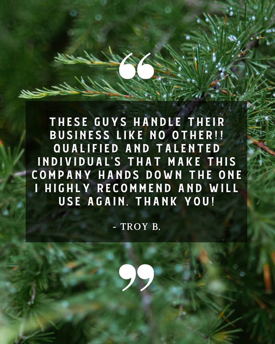 CommTreeServ's tweet photo. It means everything to us when our work leaves a lasting impression 🌳

At Community Tree Service, we’re proud to be known for the way we show up! Professional, reliable, and always focused on doing right by the people we serve. https://t.co/z5je2ELxqV