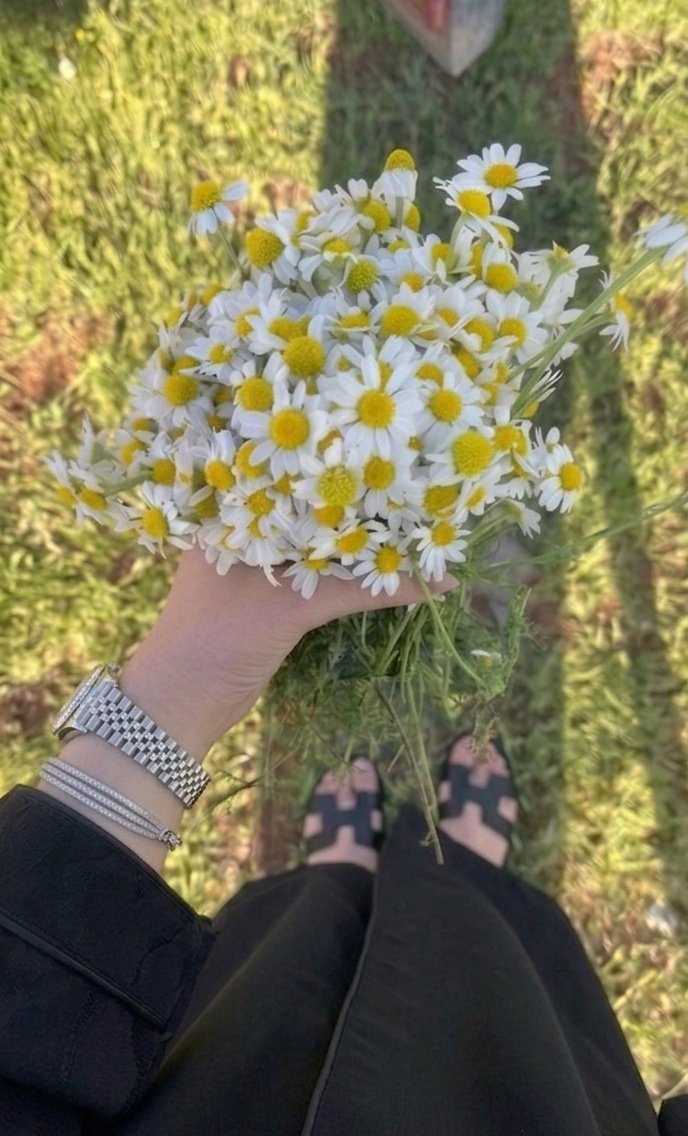 Yassmine 🌸👸 tweet media