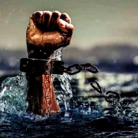 🌻Trag U Beskraju tweet media