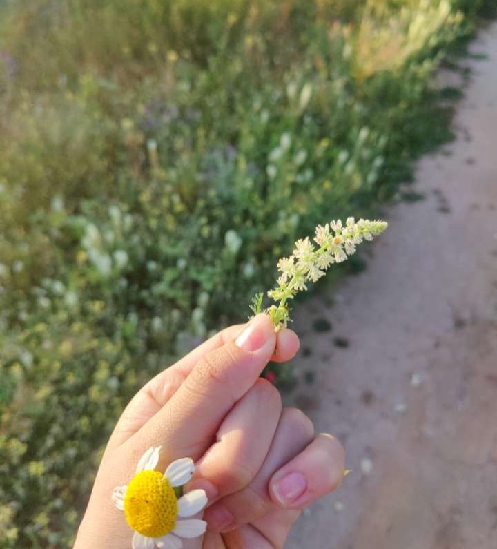 Yassmine 🌸👸 tweet media
