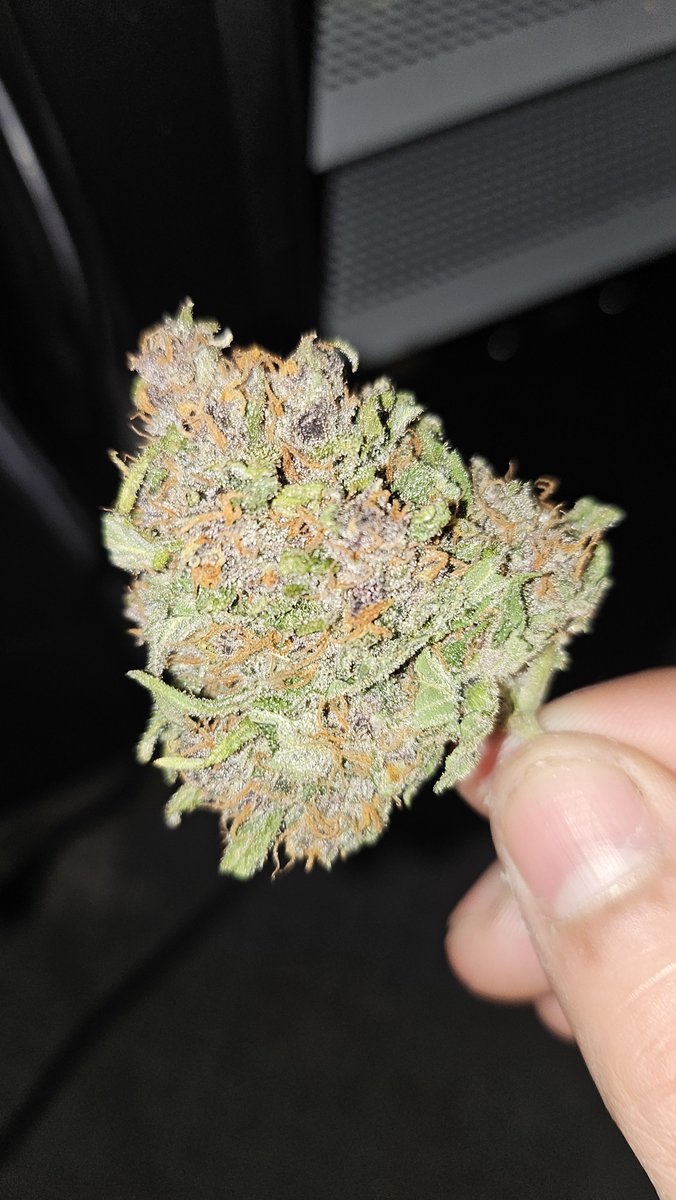 Mr Feria tweet media