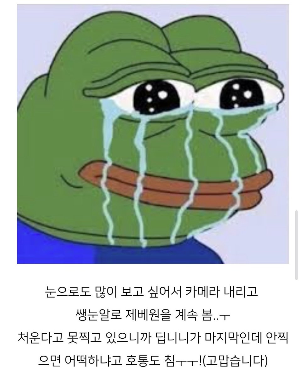 와플이 tweet media