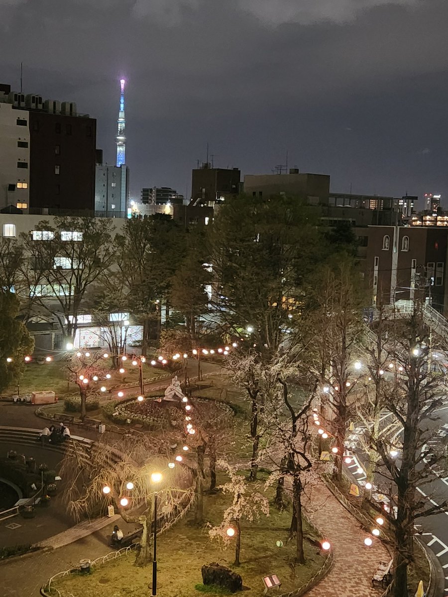 akedoma's tweet photo. 明日3月27日は「第20回尾久の原公園シダレザクラ祭り」が開催予定です。250本のシダレザクラのお花見と、野点や俳句の投句会、草花即売会、模擬店、物産展、ステージが楽しめます。
https://t.co/fLY8cClt5E
写真は今年も開催中の荒川区役所前の公園のお花見会場です。雨上りますよう。#arakawakulove https://t.co/JyNOUdDCq9