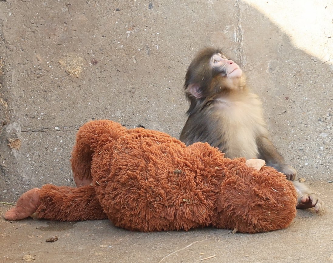 Stoke (punch/acc) tweet media