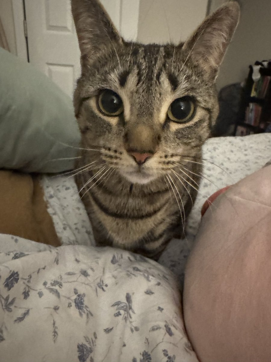 Maggie :) tweet media