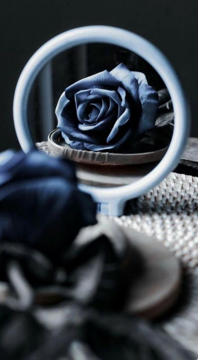 صوفي tweet media