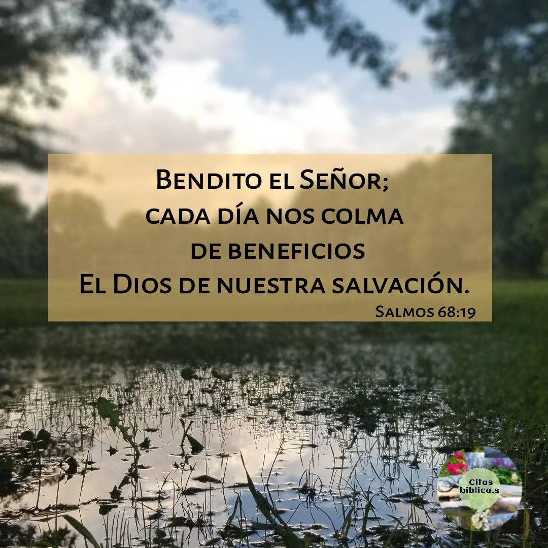 Doctor Frío tweet media