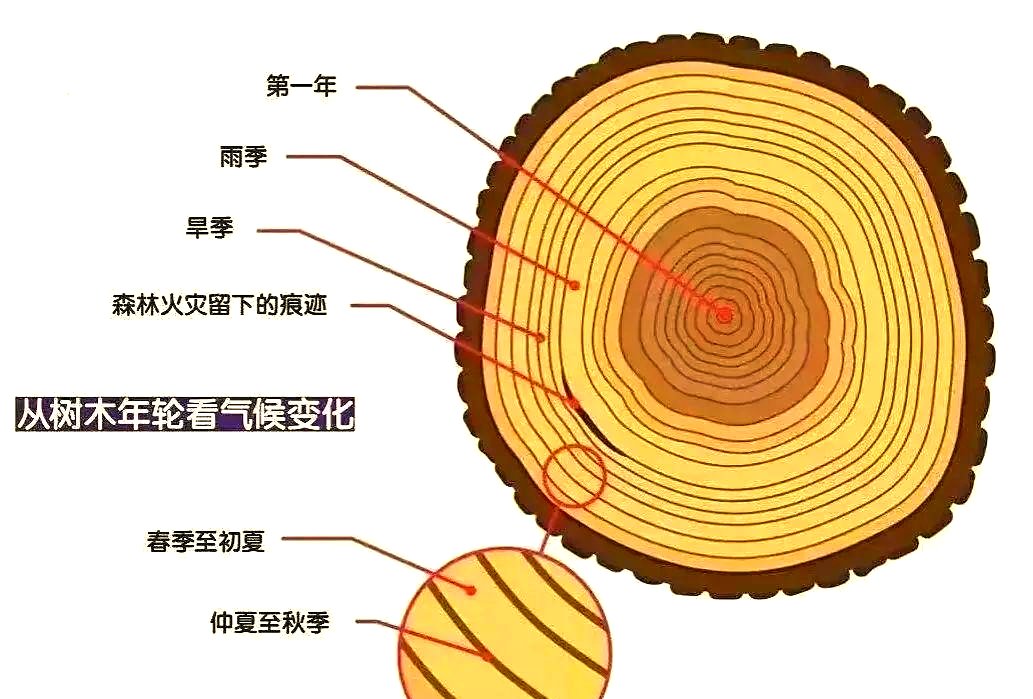 Daniel Díaz Arteaga tweet media