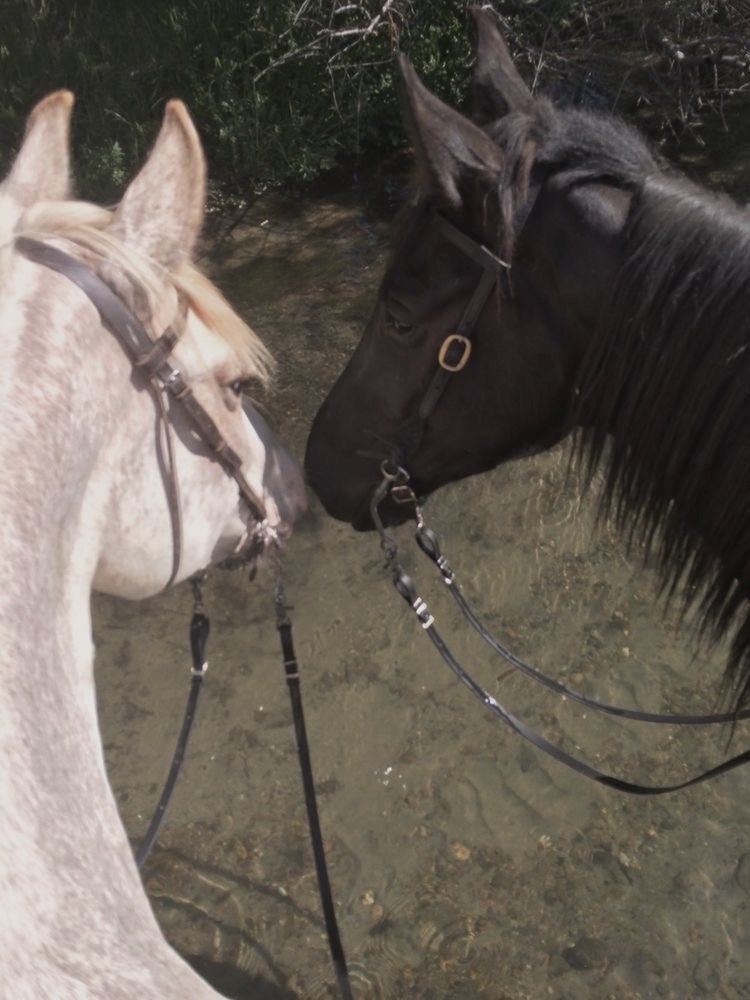 بحر 🌊 (@butterflless) on Twitter photo 