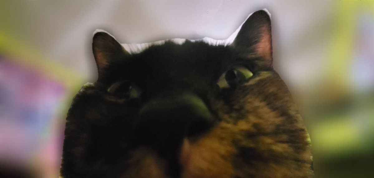 LUCID ⛓️⚡️Pre-Debut tweet media