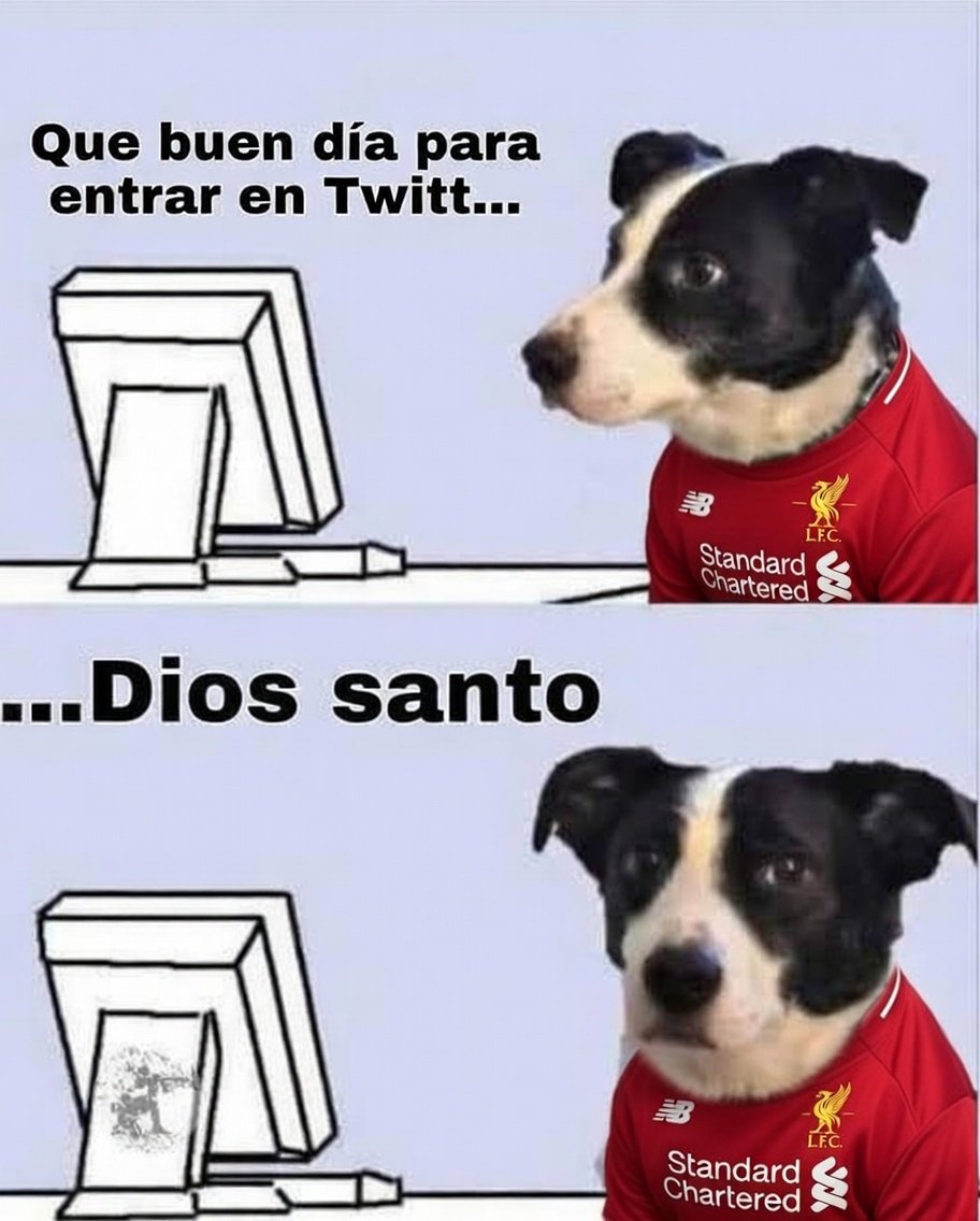 Daniel Sánchez tweet media