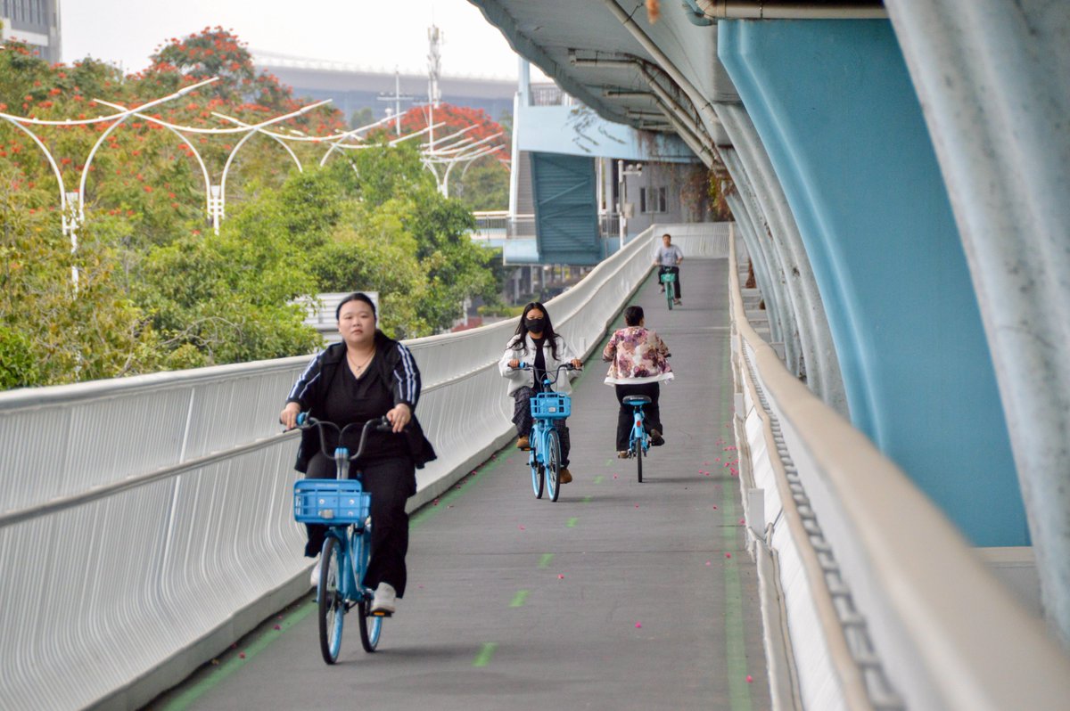 Melissa & Chris Bruntlett tweet media