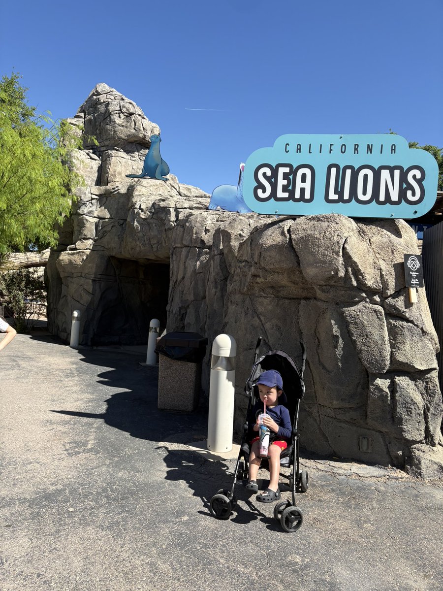 alebella__'s tweet photo. Mommy and son day at the zoo 🤍☀️🦁 https://t.co/BEnKSo5aAn