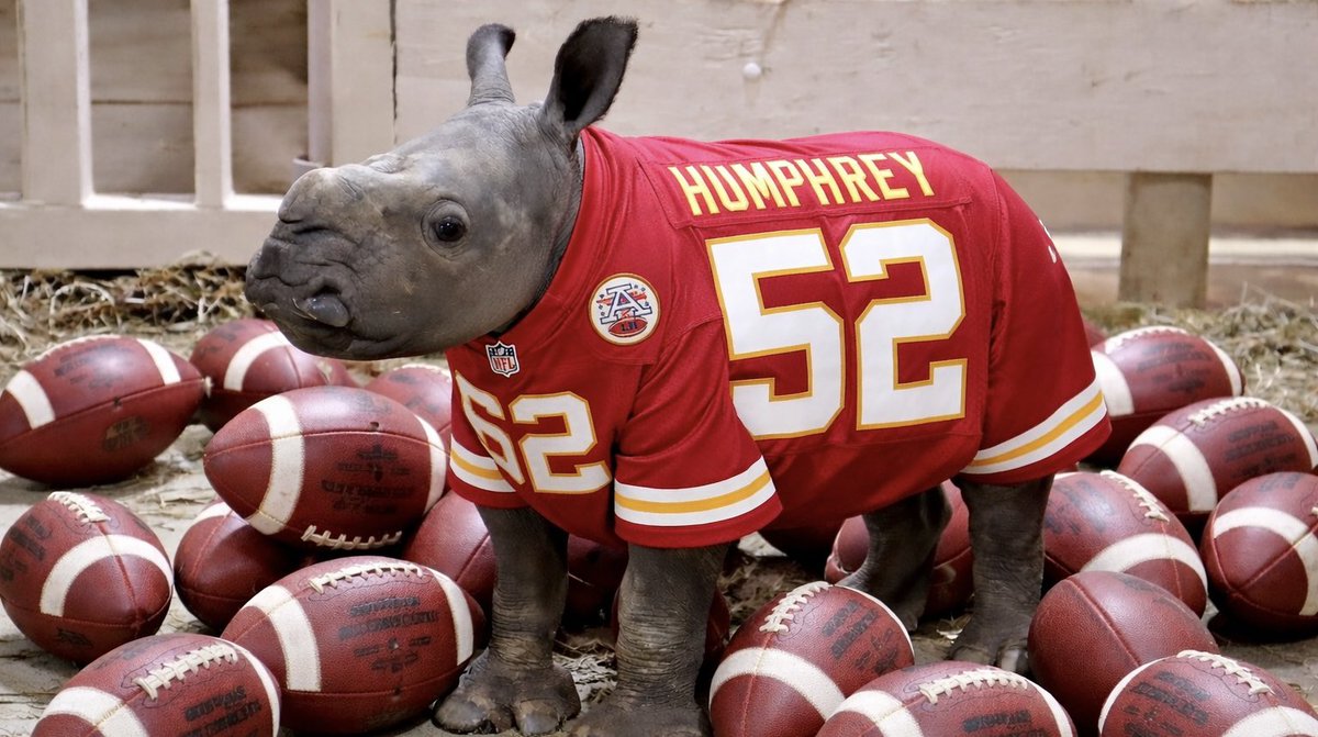 Creed The Rhino tweet media