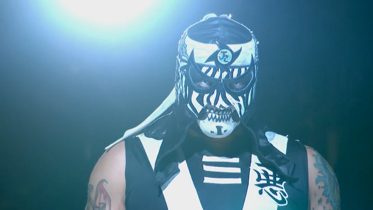 Wrestling Bios tweet media