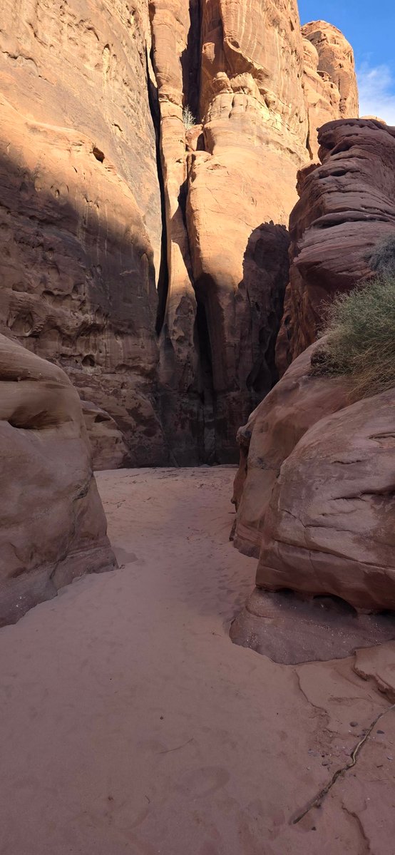 فهد#گن صديقي tweet media