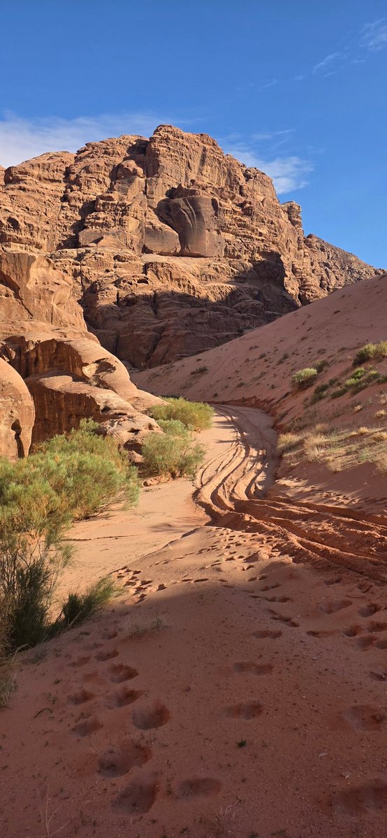 فهد#گن صديقي tweet media