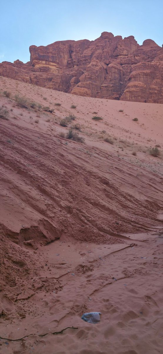 فهد#گن صديقي tweet media