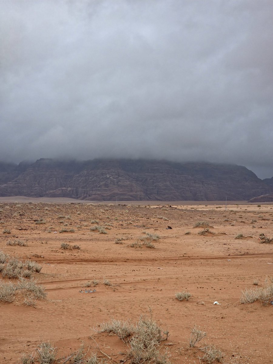 فهد#گن صديقي tweet media