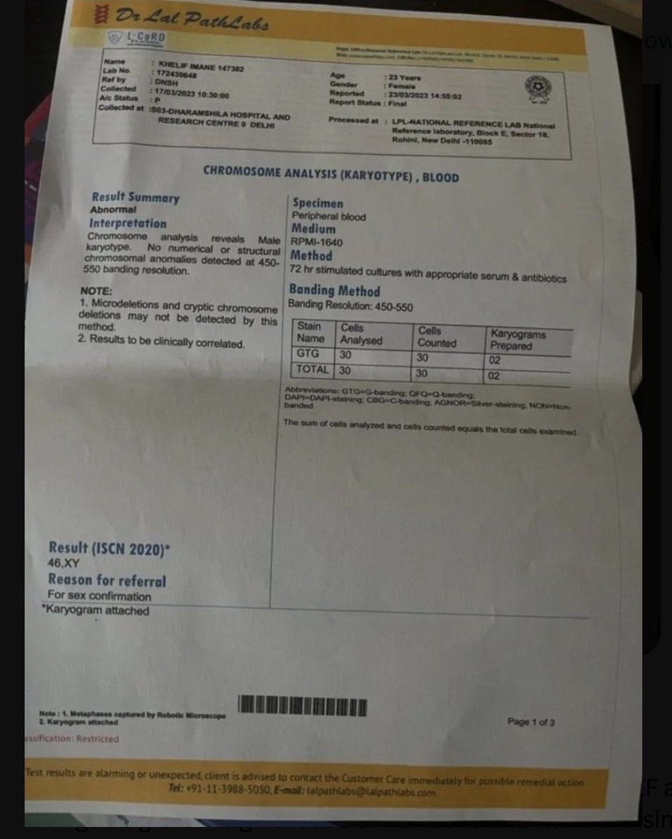 Marshi Smith 🏊🏼♀️🇰🇷🇺🇸 tweet media