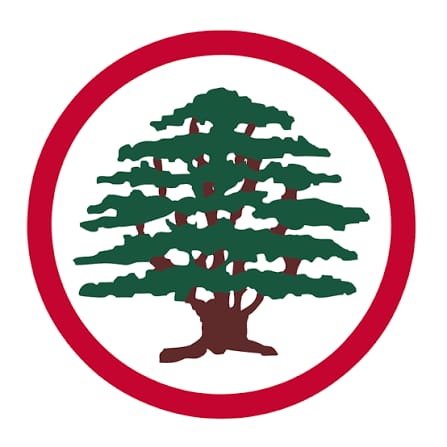 Rita Ballan tweet media