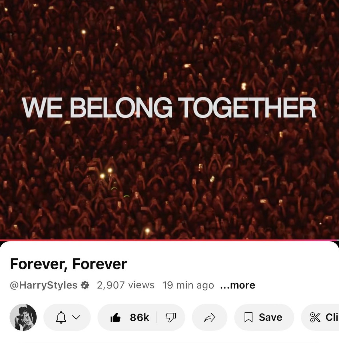 anna ⋆.𐙚 ̊ tweet media