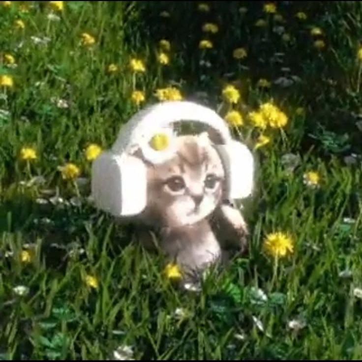 AKIMA 𝖔𝖓 𝖋𝖎𝖗𝖊 🌙,ˋ°•*⁀➷ ☘︎︎ tweet media