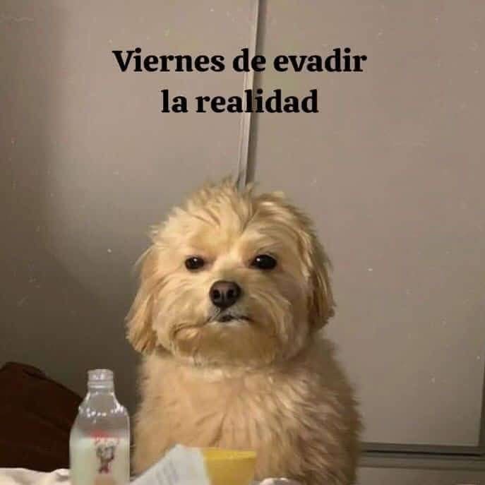 This Charming Cap (@briagowsky) on Twitter photo 