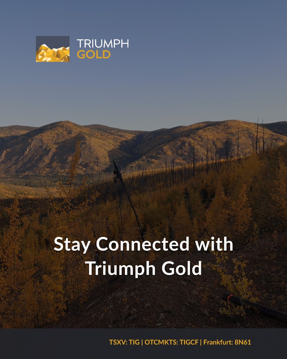 Triumph Gold Corp tweet media