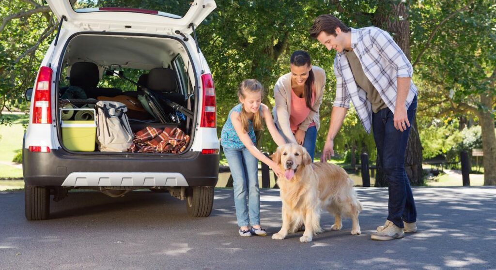 sicurauto's tweet image. Le nuove norme europee per il trasporto non commerciale di animali da compagnia introducono dal 22 aprile 2026 obblighi più severi sicurauto.it/news/codice-de… #Viaggiare #Cani #Gatti #AnimaliDaCompagnia #RegoleUE