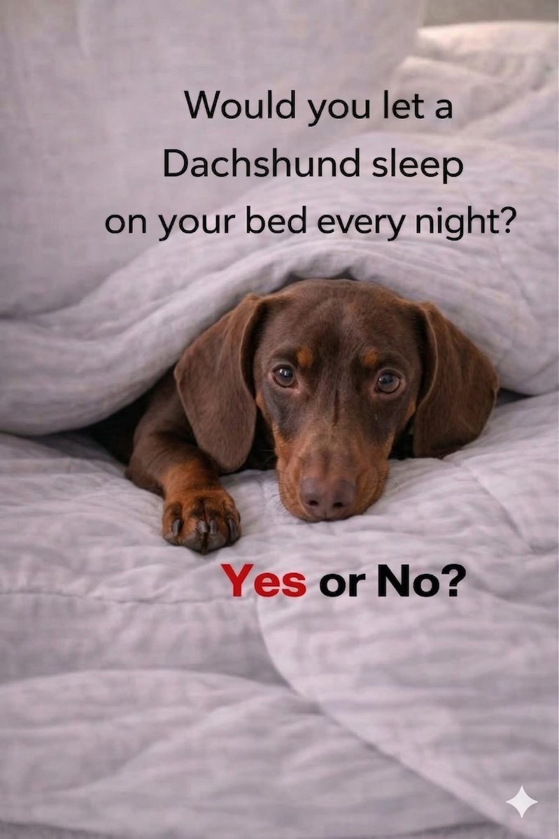 Eman (@eman5695) on Twitter photo 