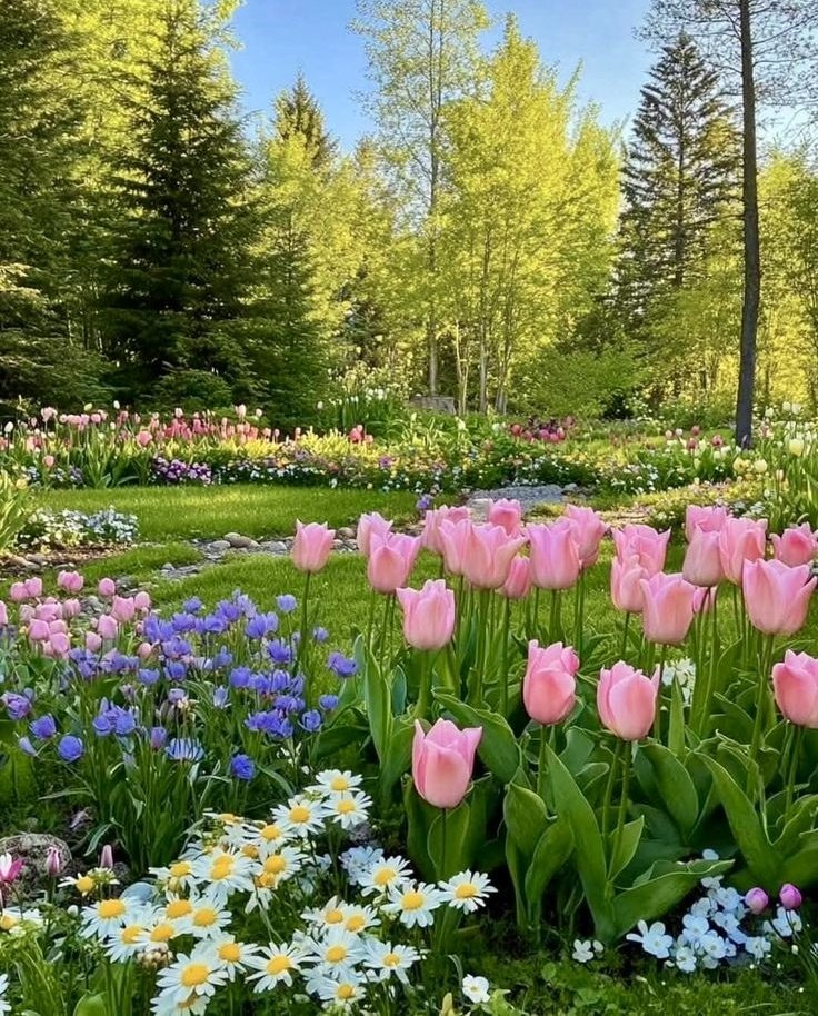 𝒍𝒖𝒏𝒂 tweet media