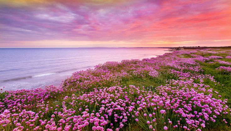 𝒍𝒖𝒏𝒂 tweet media