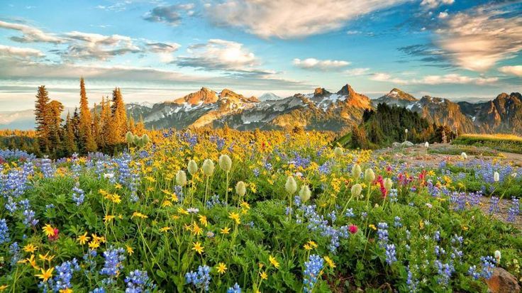 𝒍𝒖𝒏𝒂 tweet media