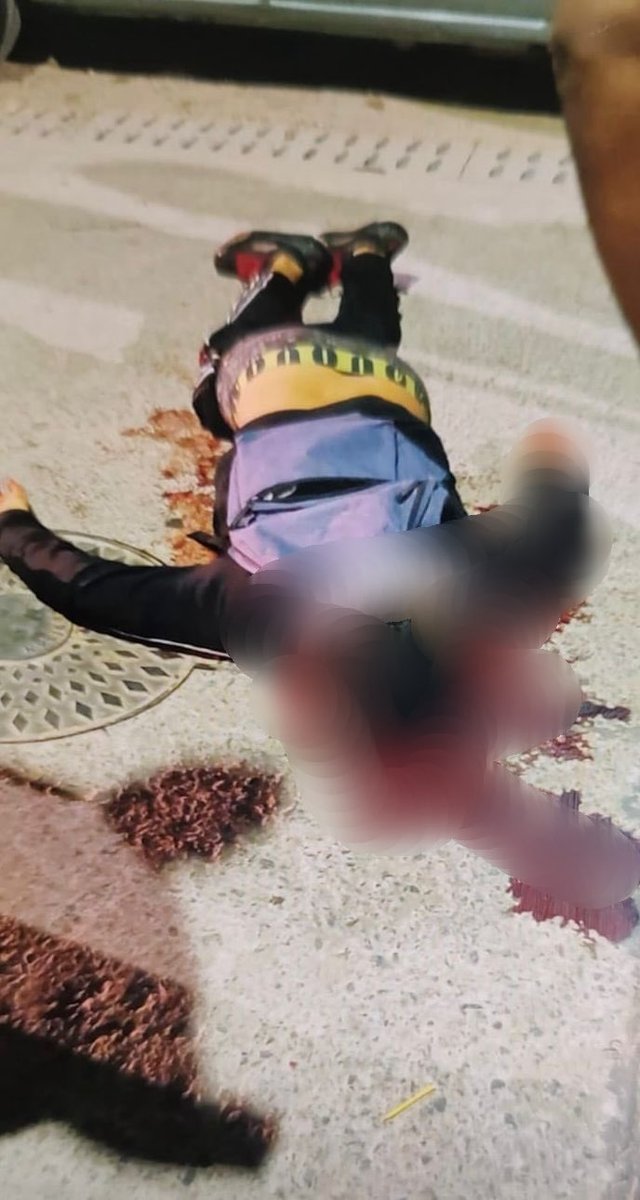 Pampa Monaco tweet media