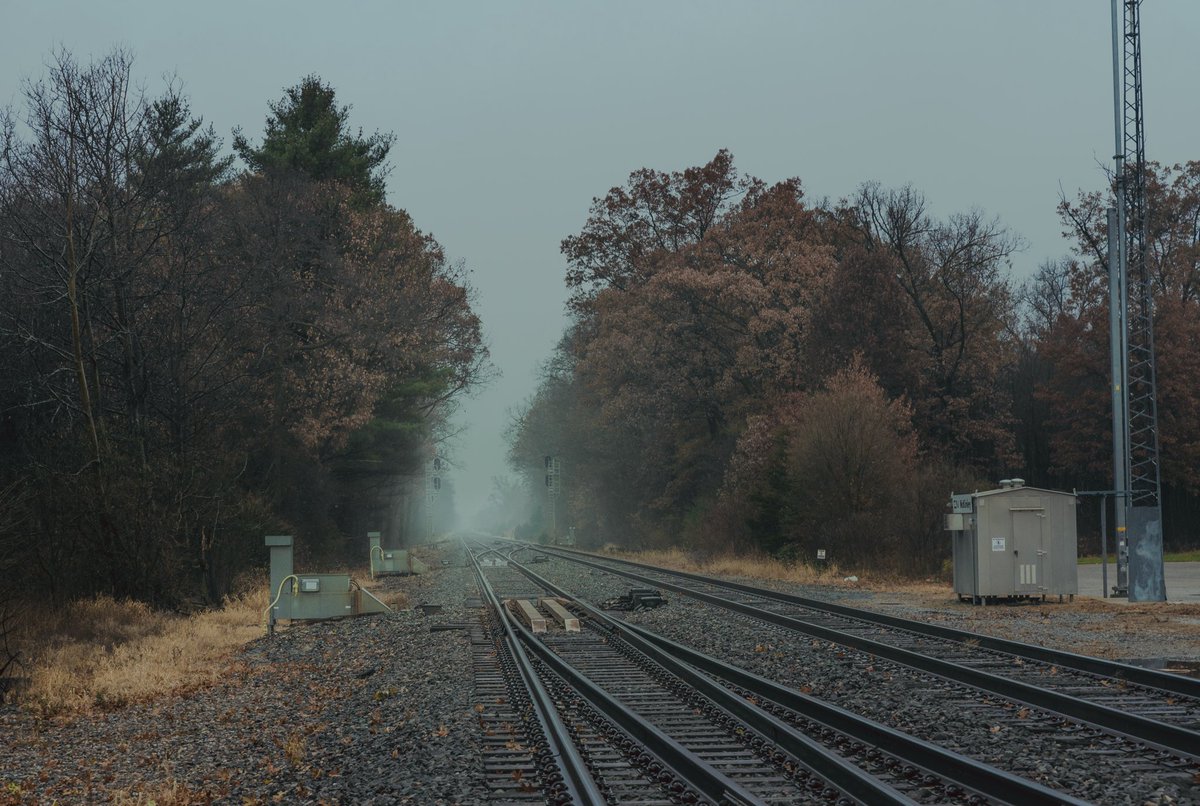 Cowboy the Terrible tweet media