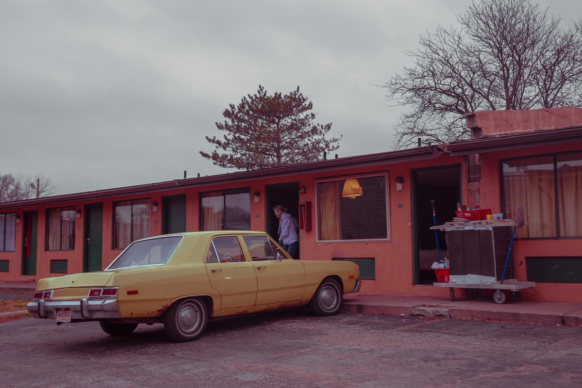 Cowboy the Terrible tweet media