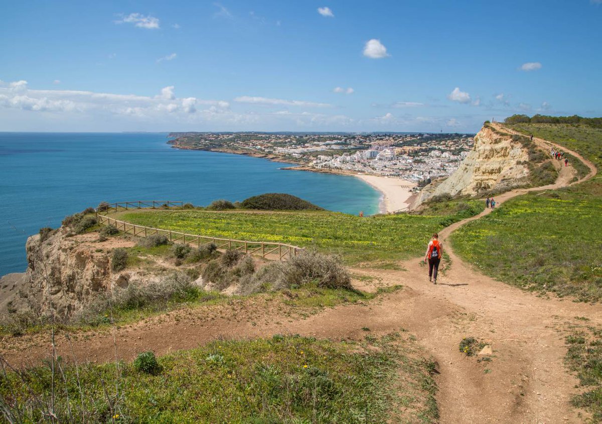 Meteored Portugal tweet media