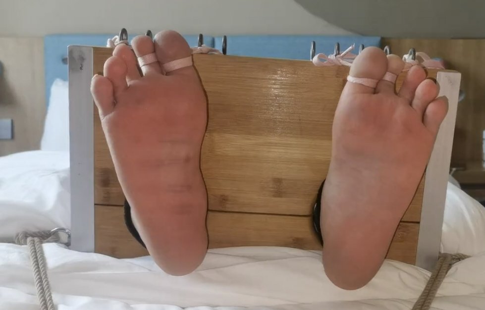 🐶小乐 tweet media