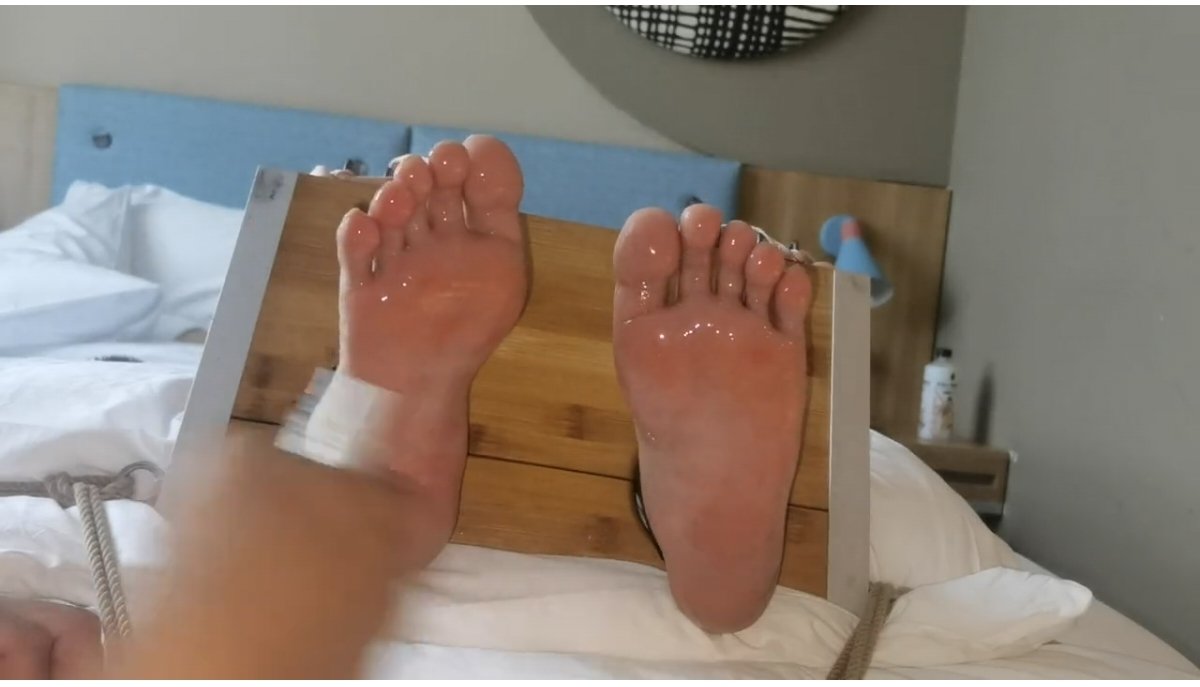 🐶小乐 tweet media