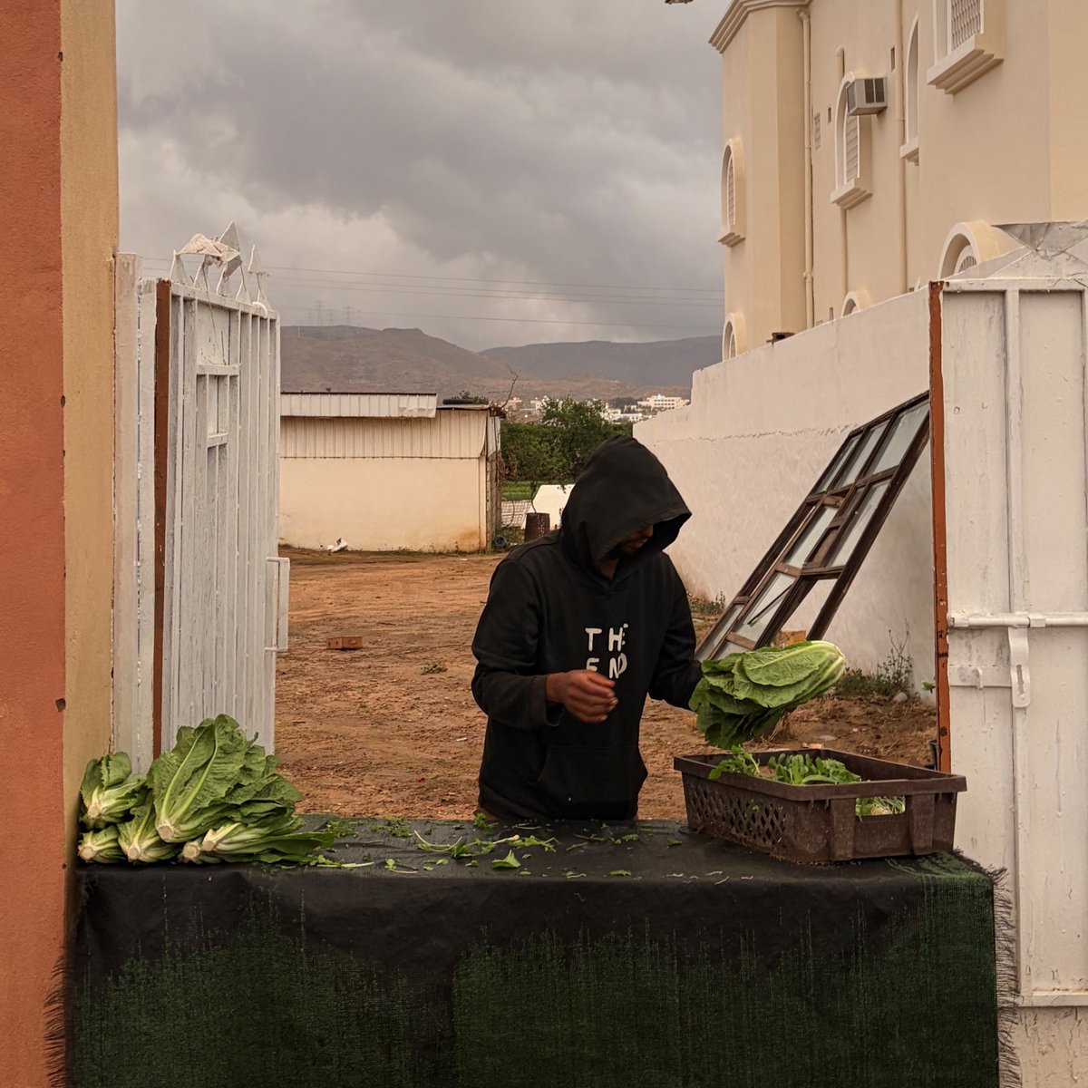 LayanQahtani tweet media