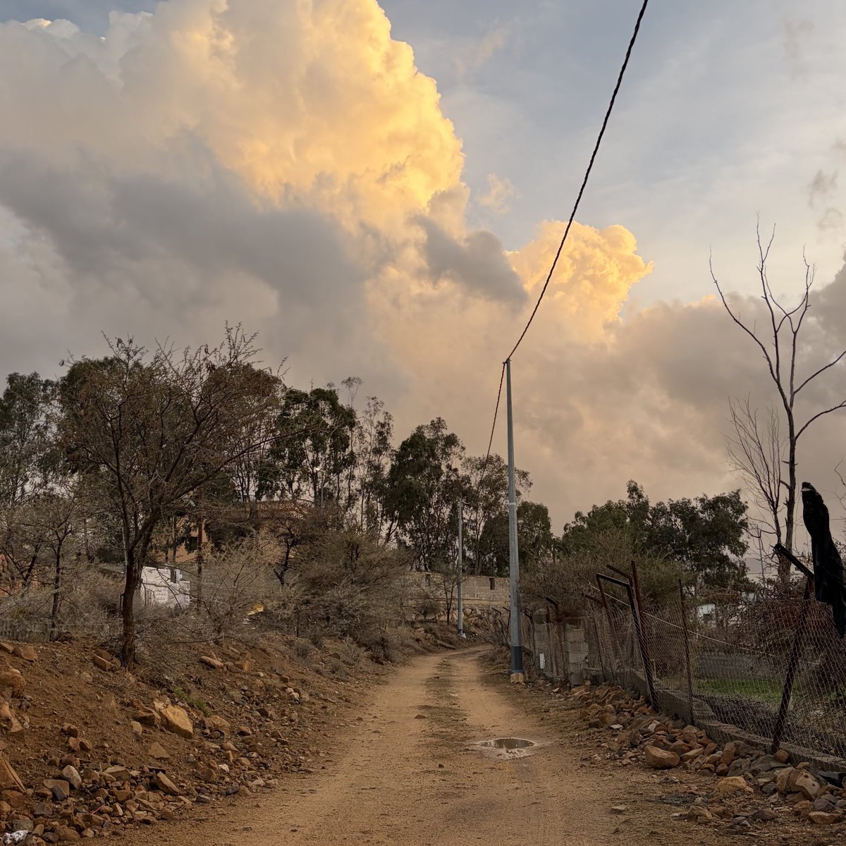 LayanQahtani tweet media