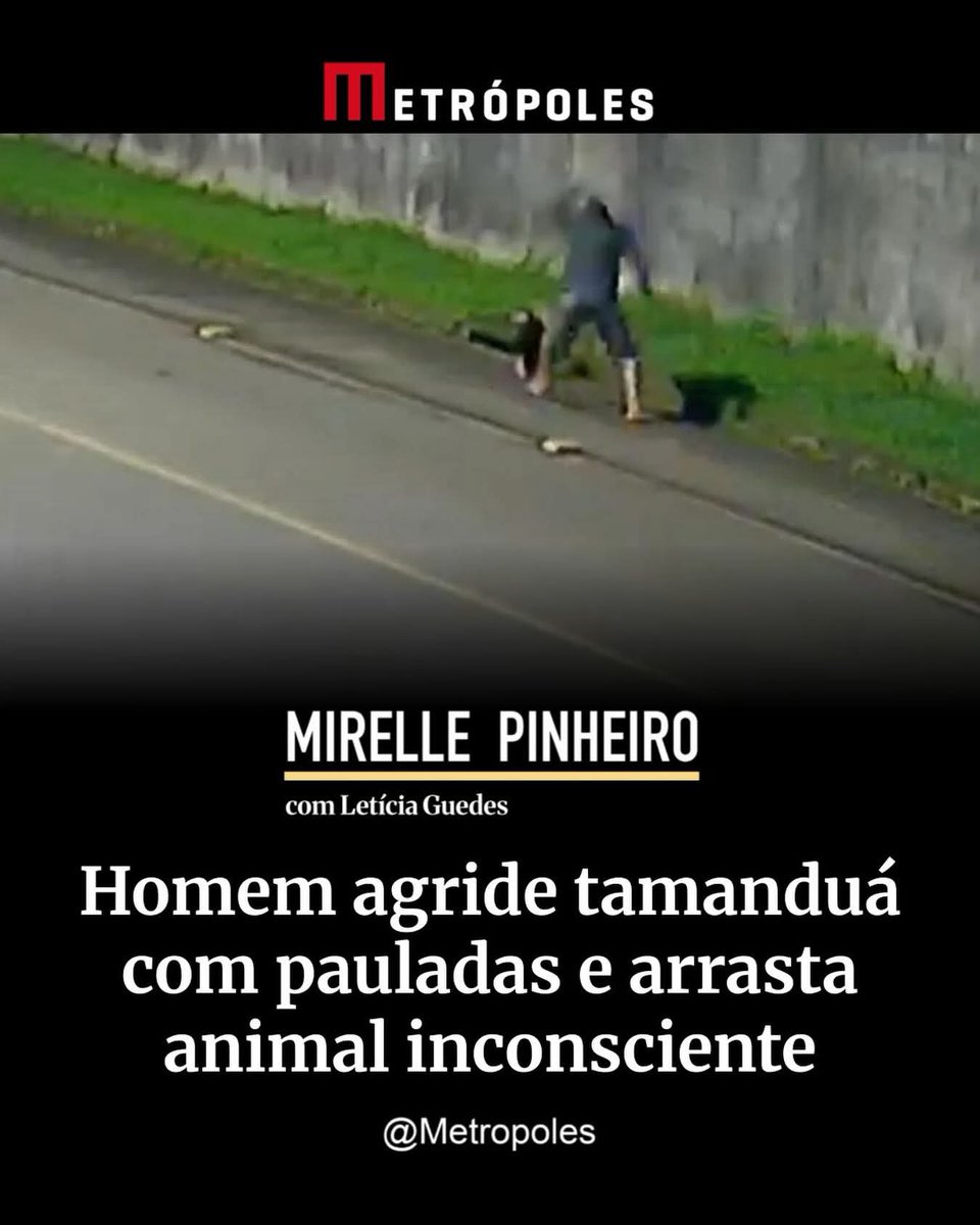 Jeferson PG tweet media