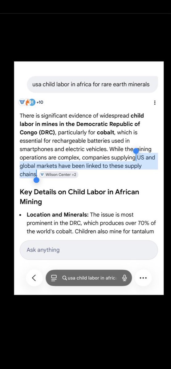 falun dafa lies tweet media