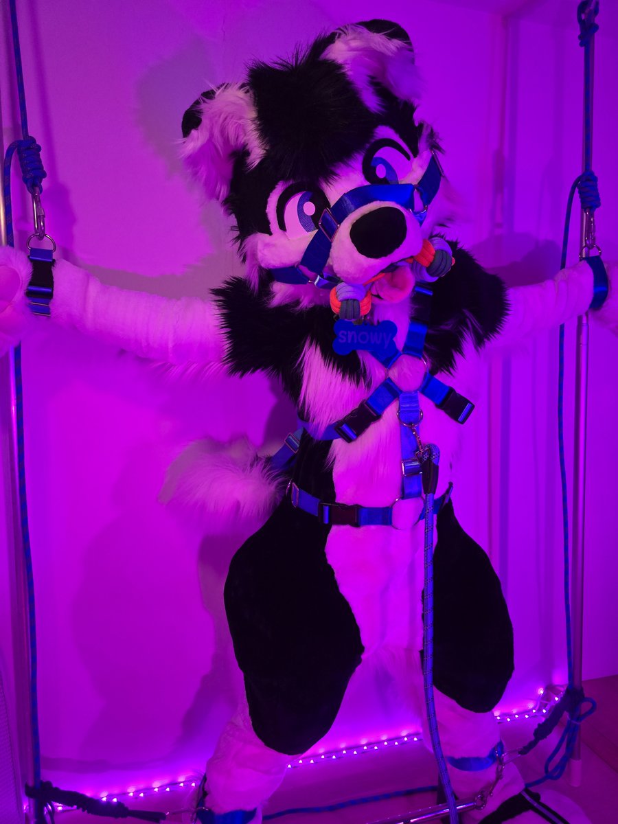 Snowbound tweet media