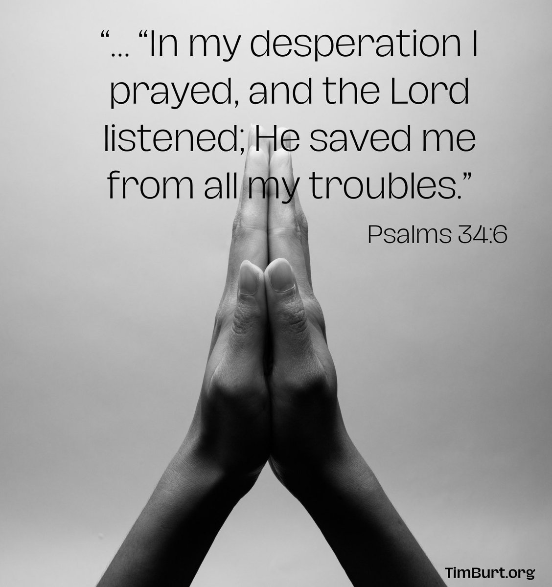 Timothy Burt tweet media