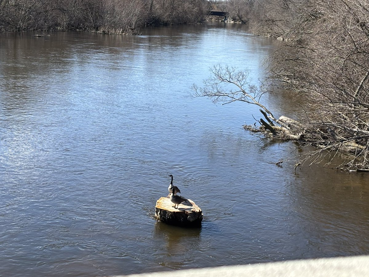 sillyguy83 tweet media