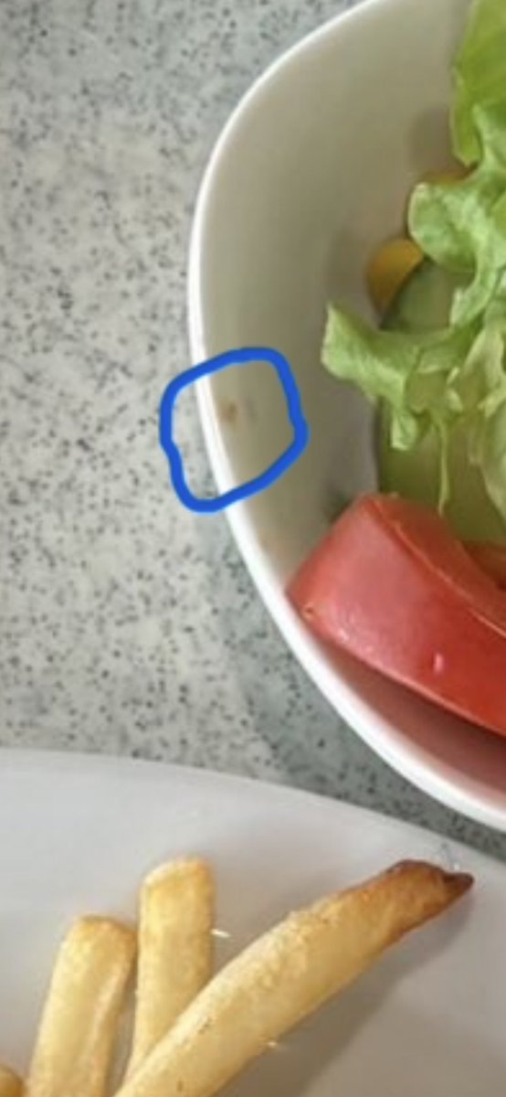 🇫🇷Le chat heureux 🇮🇱🇫🇷 🤔🤪🤪 tweet media