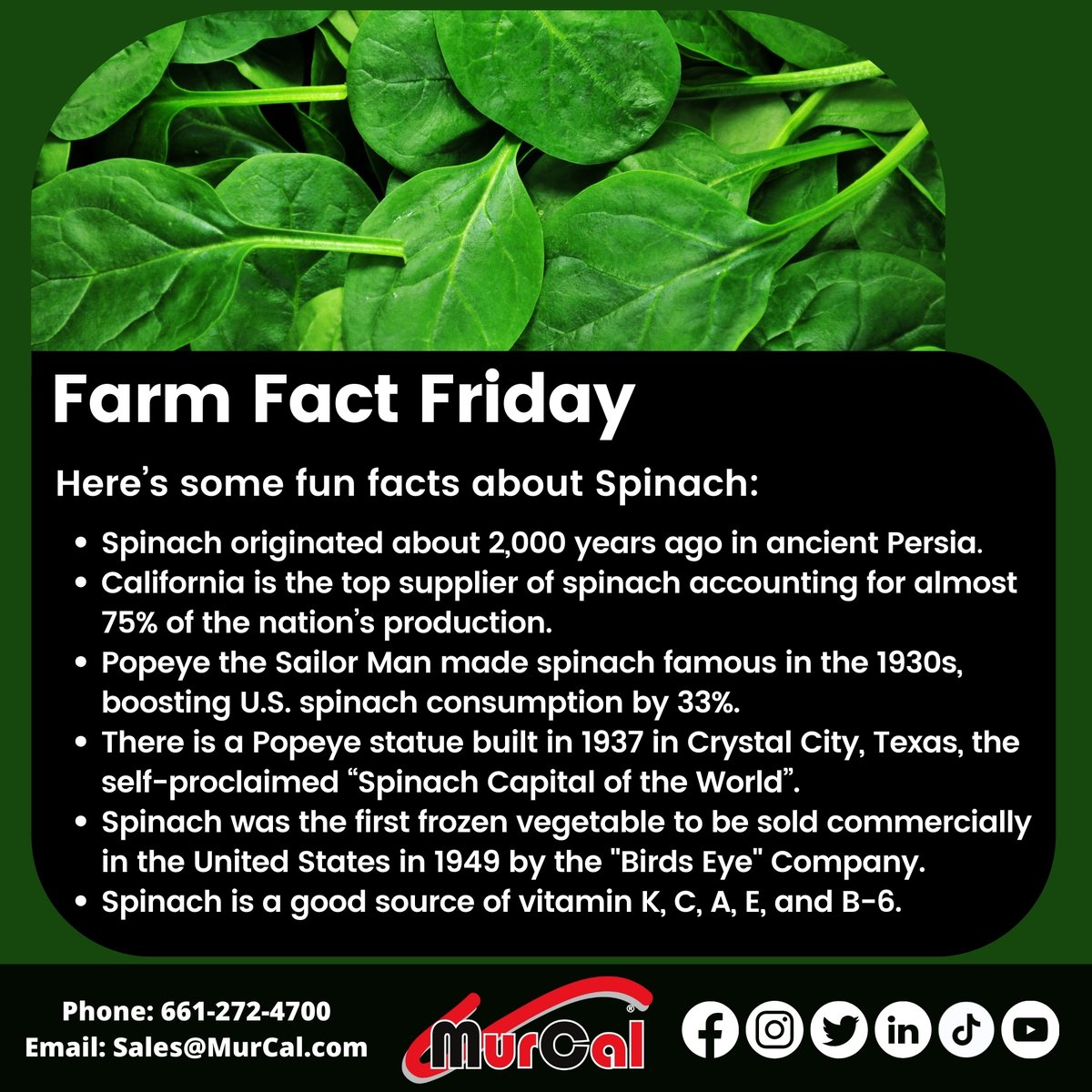 MurCal, Inc. tweet media