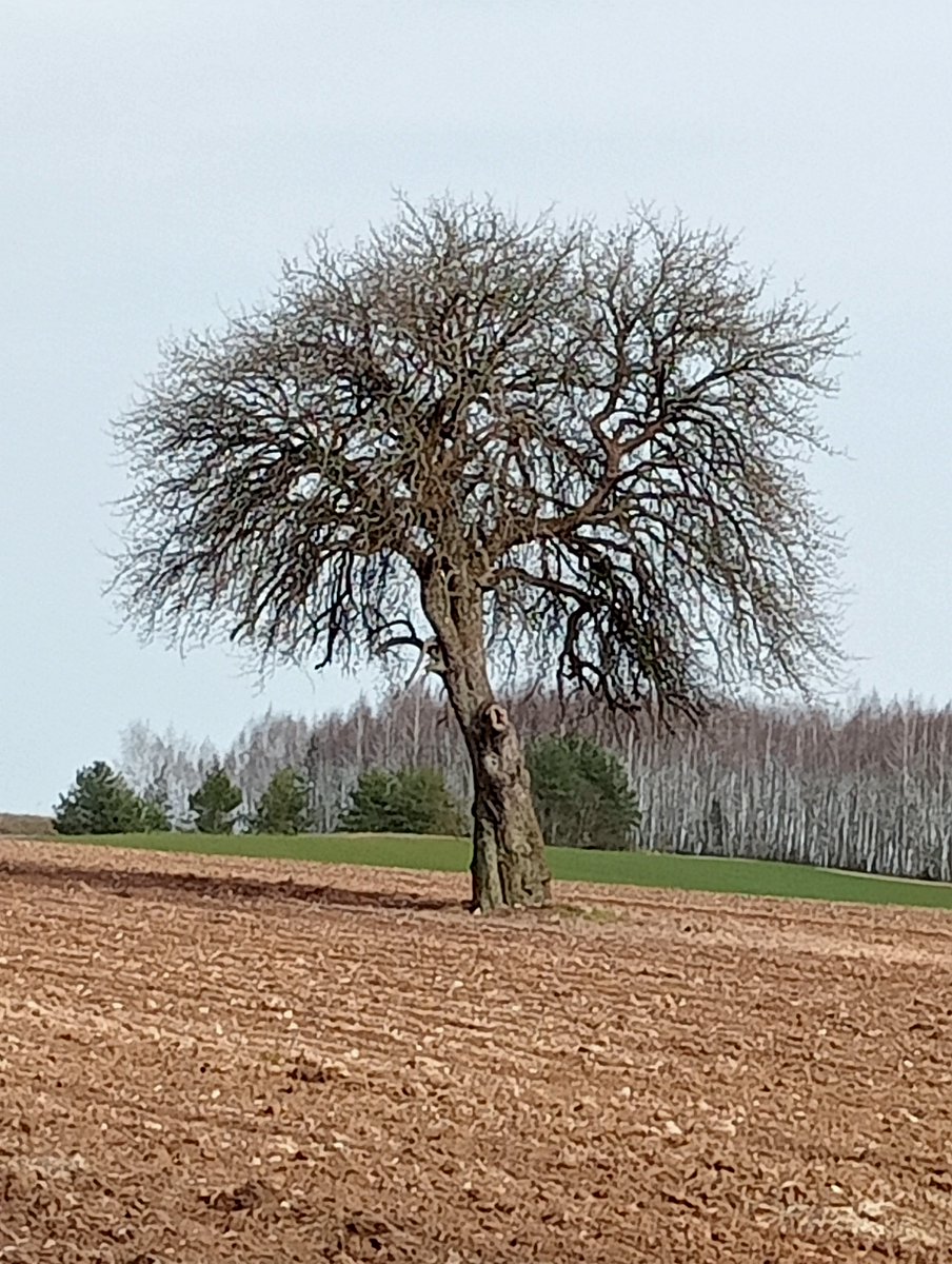 Piotrek (bo RODO) tweet media